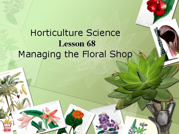 Horticulture Science Lesson 68 Managing the Floral Shop 