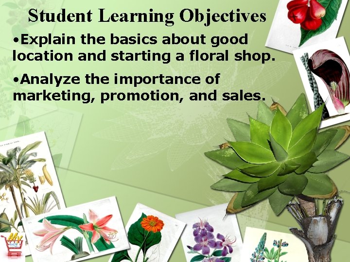 Student Learning Objectives • Explain the basics about good location and starting a floral