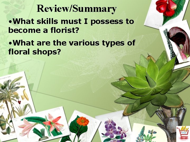 Review/Summary • What skills must I possess to become a florist? • What are