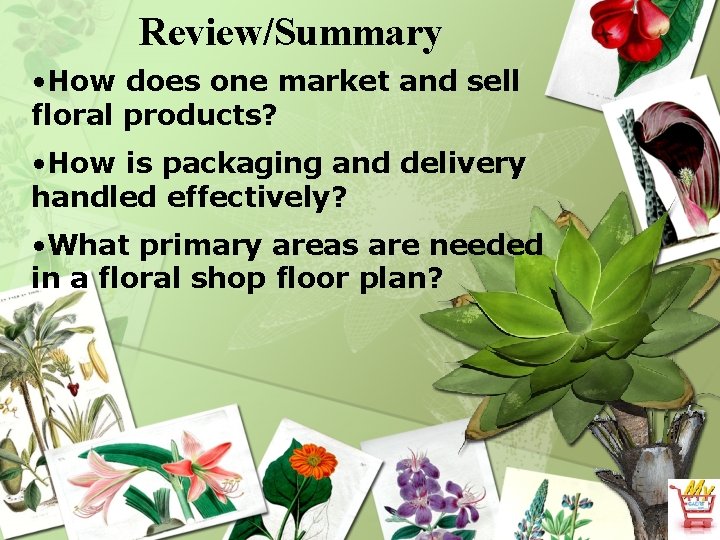 Review/Summary • How does one market and sell floral products? • How is packaging