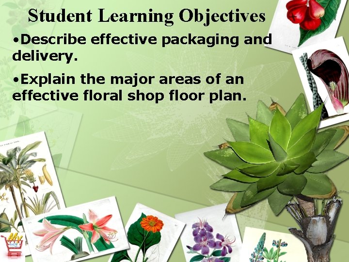 Student Learning Objectives • Describe effective packaging and delivery. • Explain the major areas