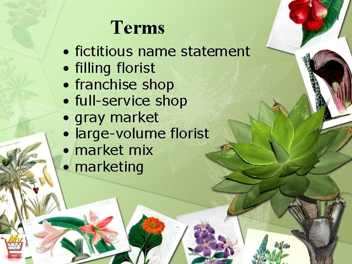 Terms • • fictitious name statement filling florist franchise shop full-service shop gray market