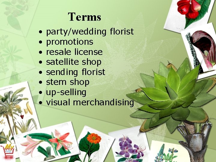 Terms • • party/wedding florist promotions resale license satellite shop sending florist stem shop