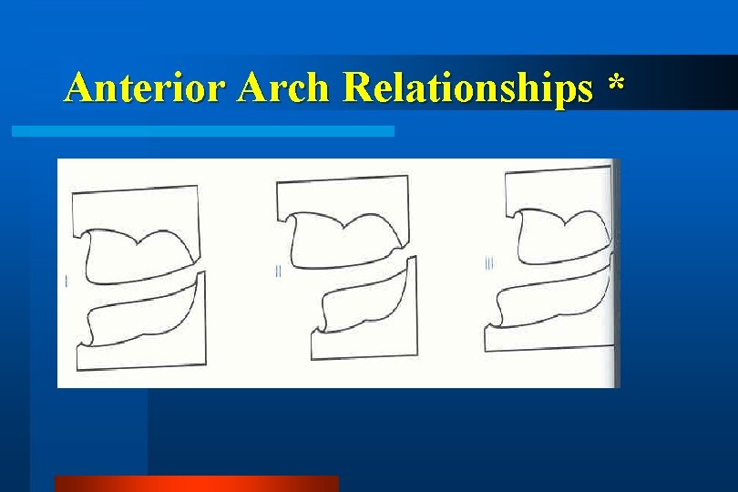 Anterior Arch Relationships * 