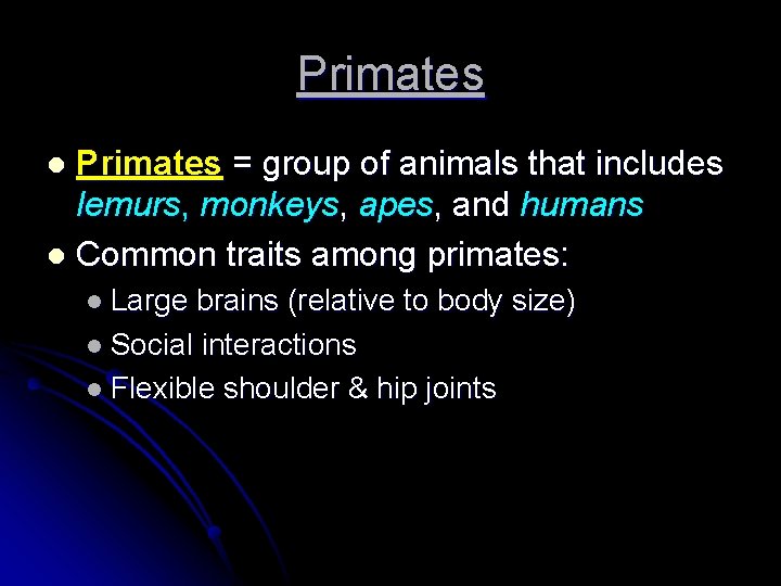 Primates = group of animals that includes lemurs, monkeys, apes, and humans l Common