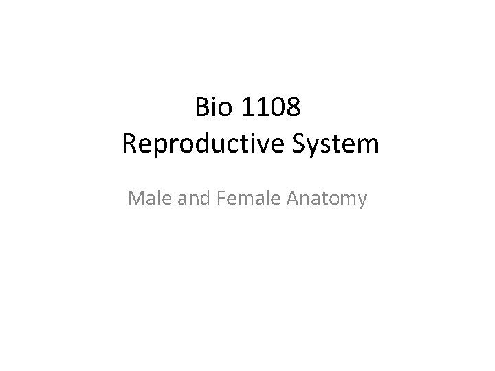 Bio 1108 Reproductive System Male and Female Anatomy 