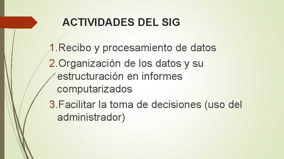 ACTIVIDADES DEL SIG 1. Recibo y procesamiento de datos 2. Organización de los datos