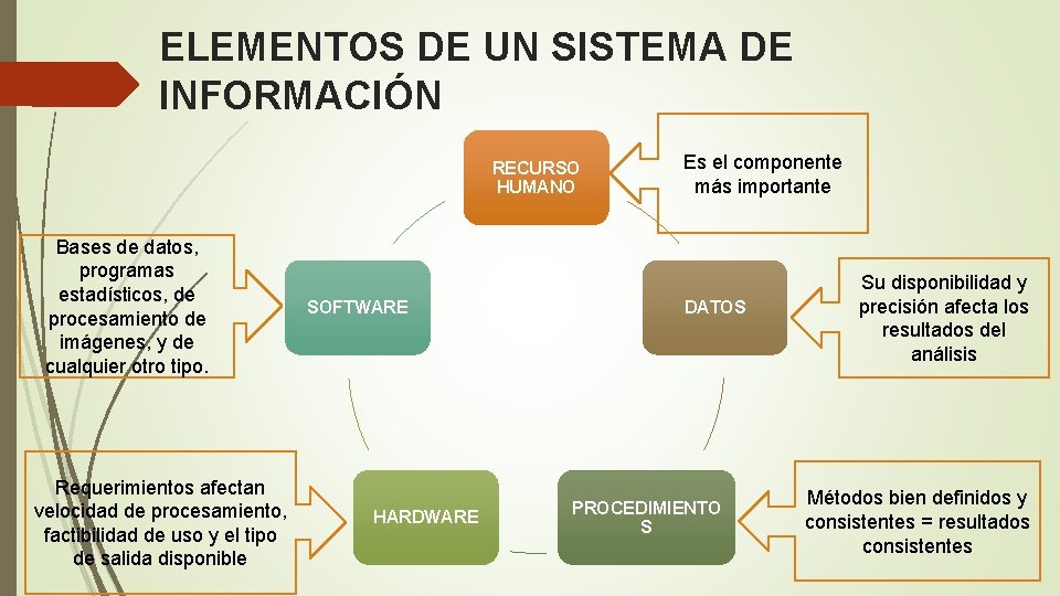 ELEMENTOS DE UN SISTEMA DE INFORMACIÓN RECURSO HUMANO Bases de datos, programas estadísticos, de