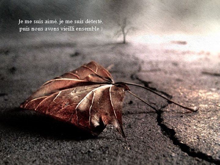 Je me suis aimé, je me suis détesté, puis nous avons vieilli ensemble !