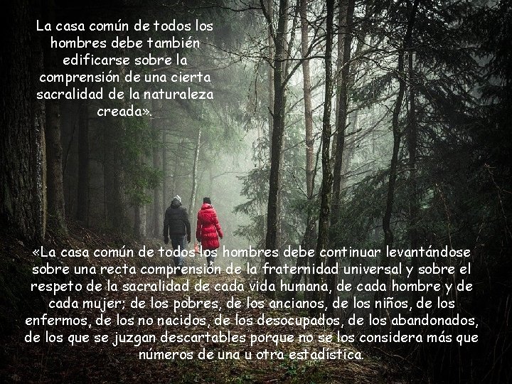 La casa común de todos los hombres debe también edificarse sobre la comprensión de