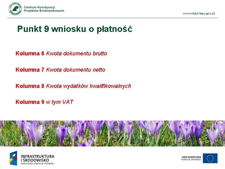 www. ckps. lasy. gov. pl Punkt 9 wniosku o płatność Kolumna 6 Kwota dokumentu