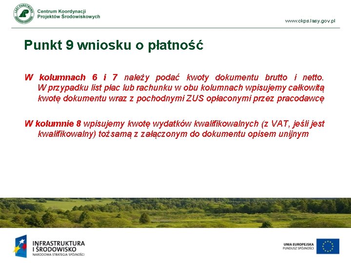 www. ckps. lasy. gov. pl Punkt 9 wniosku o płatność W kolumnach 6 i