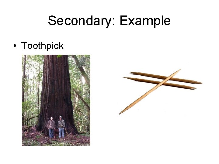 Secondary: Example • Toothpick 