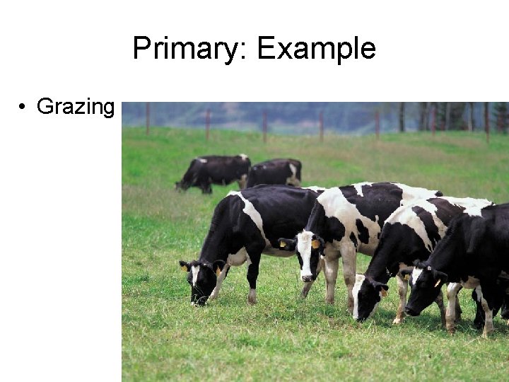 Primary: Example • Grazing 