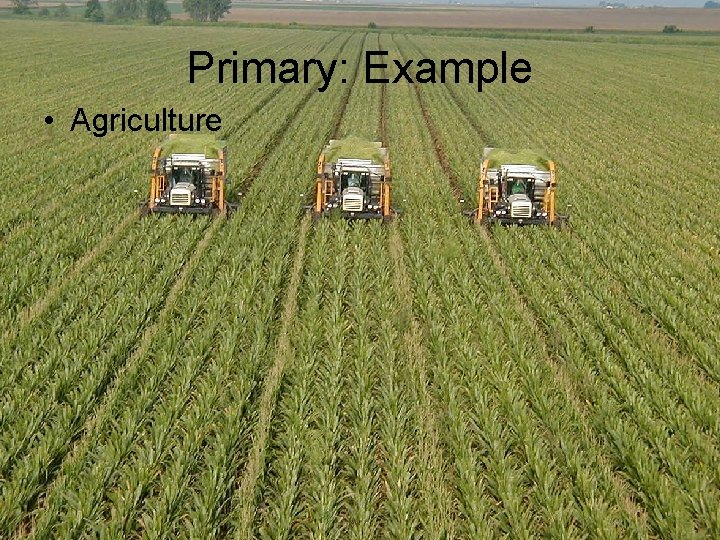 Primary: Example • Agriculture 