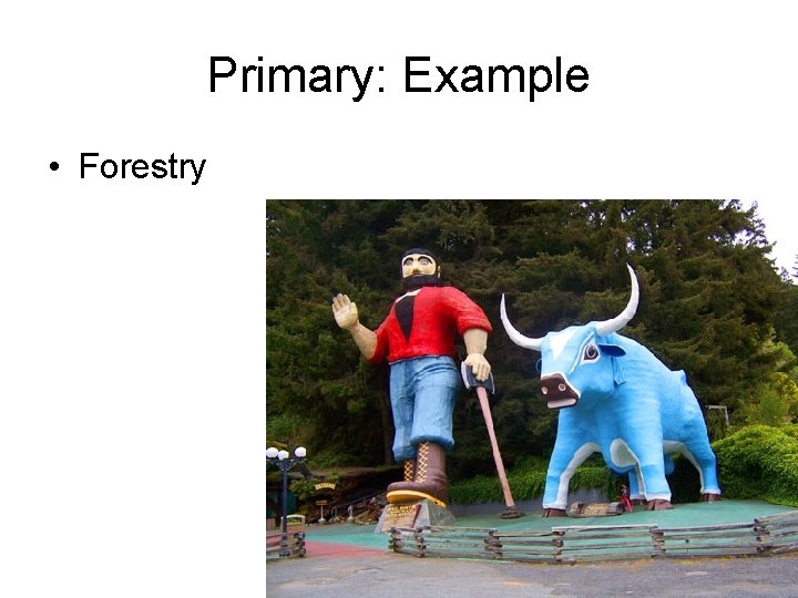 Primary: Example • Forestry 