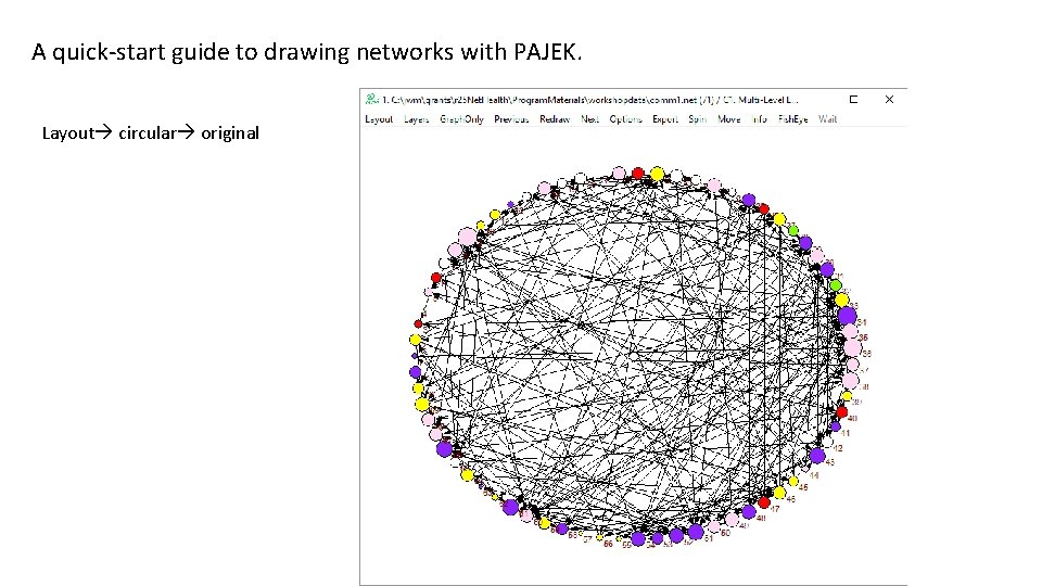 A quick-start guide to drawing networks with PAJEK. Layout circular original 