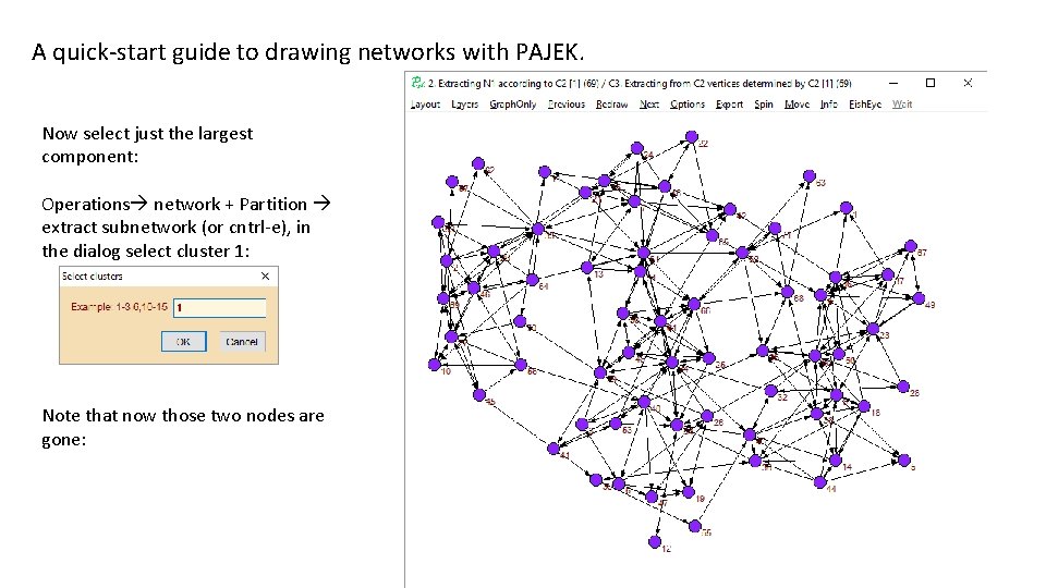A quick-start guide to drawing networks with PAJEK. Now select just the largest component: