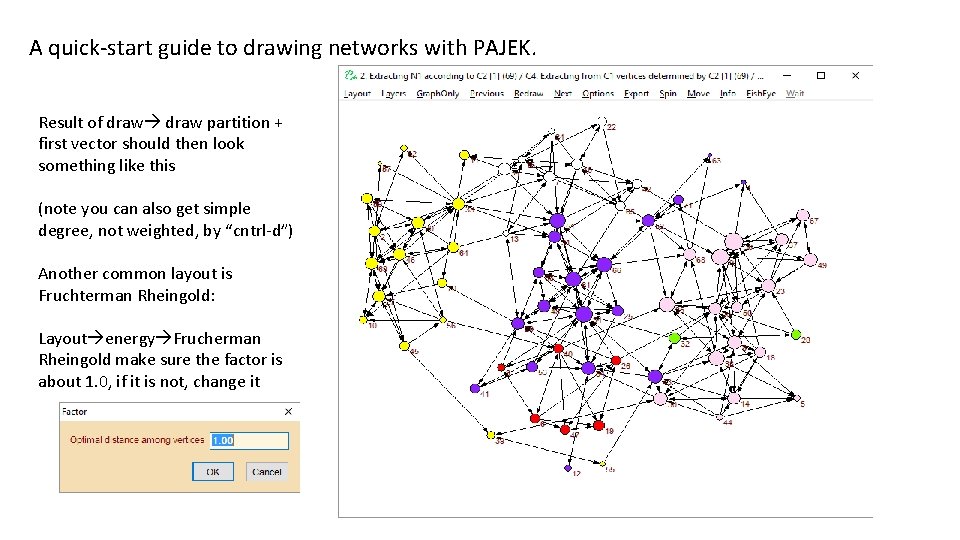 A quick-start guide to drawing networks with PAJEK. Result of draw partition + first