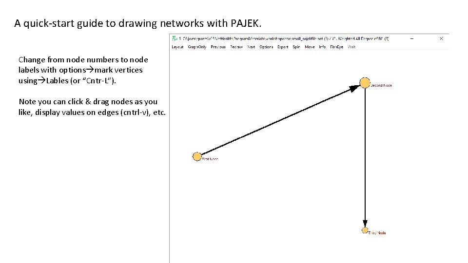 A quick-start guide to drawing networks with PAJEK. Change from node numbers to node