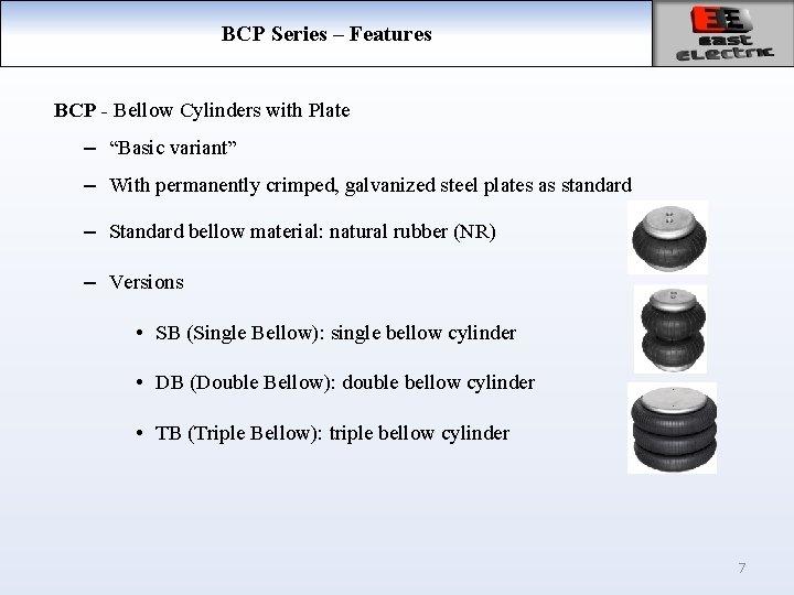 BCP Series – Features BCP - Bellow Cylinders with Plate – “Basic variant” –