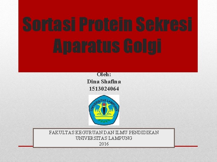 Sortasi Protein Sekresi Aparatus Golgi Oleh: Dina Shafina 1513024064 FAKULTAS KEGURUAN DAN ILMU PENDIDIKAN