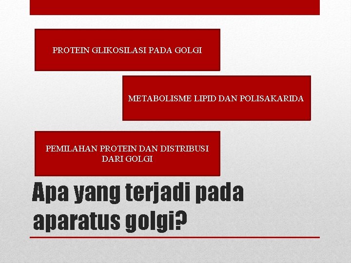 PROTEIN GLIKOSILASI PADA GOLGI METABOLISME LIPID DAN POLISAKARIDA PEMILAHAN PROTEIN DAN DISTRIBUSI DARI GOLGI