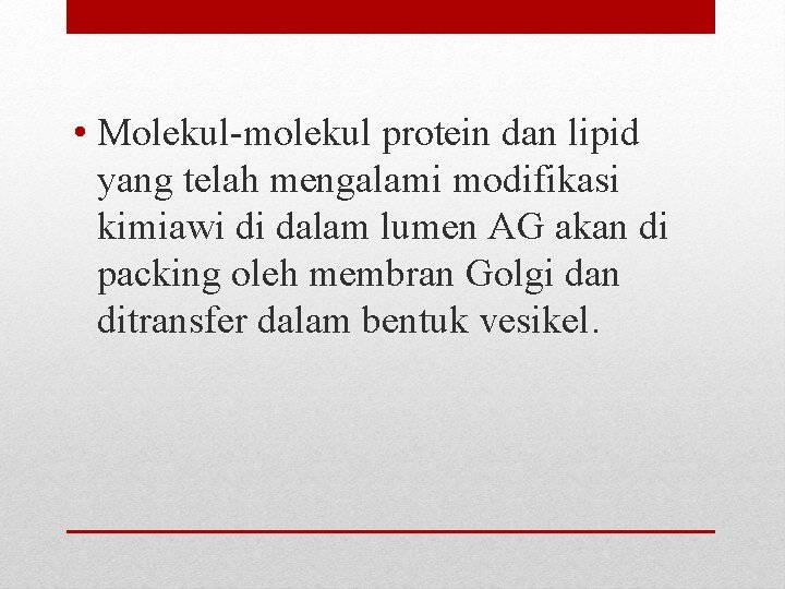  • Molekul-molekul protein dan lipid yang telah mengalami modifikasi kimiawi di dalam lumen