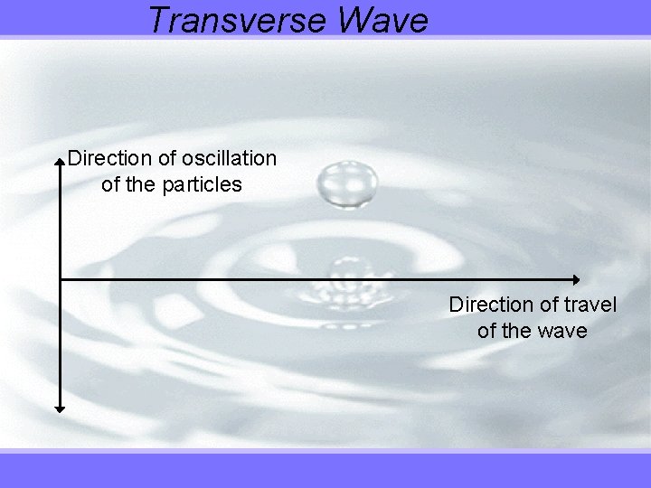 Transverse Wave Direction of oscillation of the particles Direction of travel of the wave