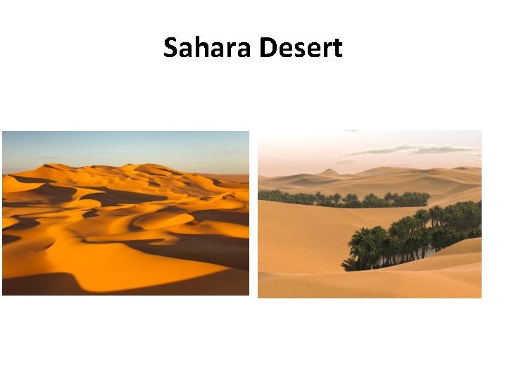 Sahara Desert 