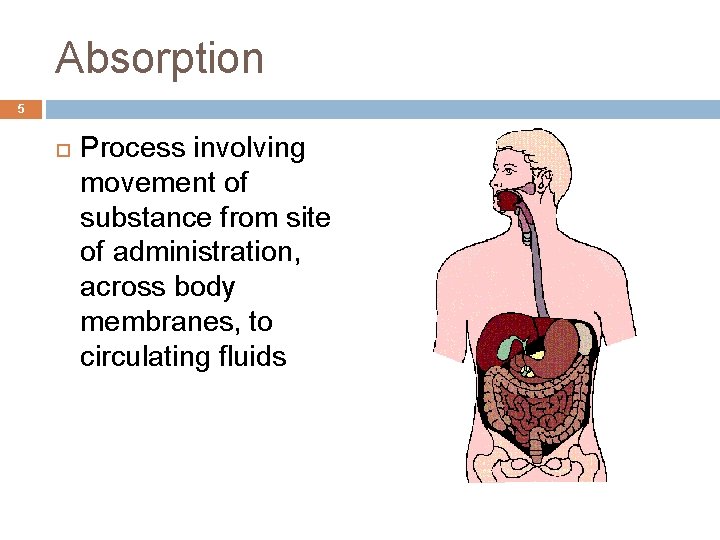 Absorption 5 Process involving movement of substance from site of administration, across body membranes,