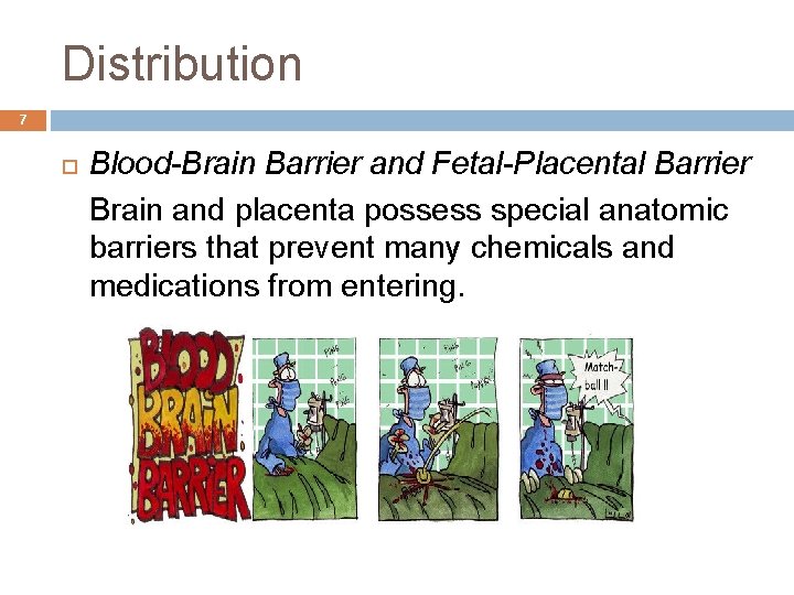 Distribution 7 Blood-Brain Barrier and Fetal-Placental Barrier Brain and placenta possess special anatomic barriers