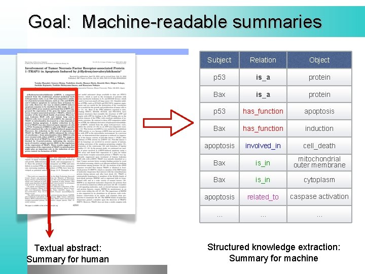 Goal: Machine-readable summaries Textual abstract: Summary for human Subject Relation Object p 53 is_a