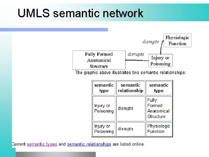 UMLS semantic network 