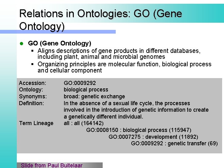 Relations in Ontologies: GO (Gene Ontology) l GO (Gene Ontology) § Aligns descriptions of