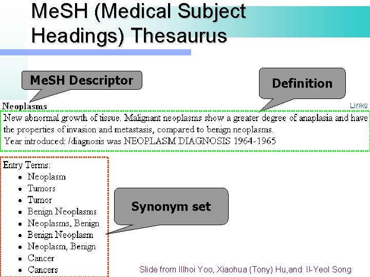 Me. SH (Medical Subject Headings) Thesaurus Me. SH Descriptor Definition Synonym set 5 1