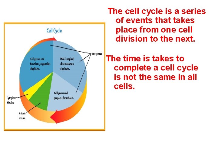 The cell cycle is a series of events that takes place from one cell