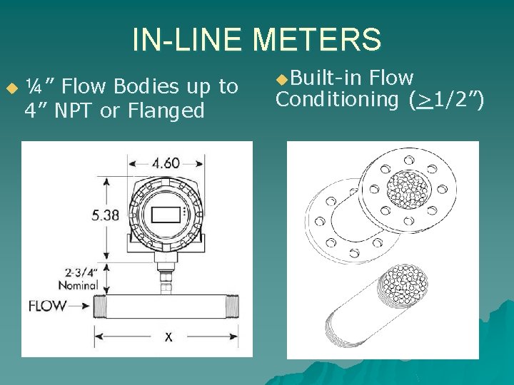 IN-LINE METERS u ¼” Flow Bodies up to 4” NPT or Flanged u. Built-in