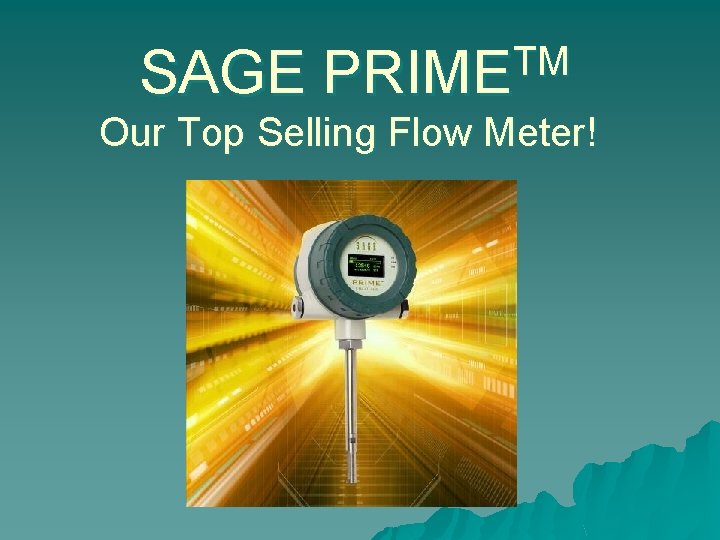 SAGE TM PRIME Our Top Selling Flow Meter! 