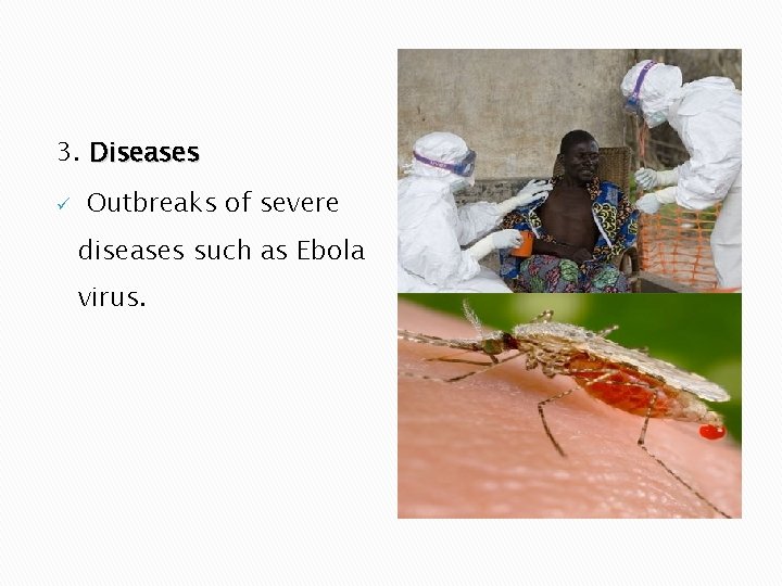 3. Diseases ü Outbreaks of severe diseases such as Ebola virus. 