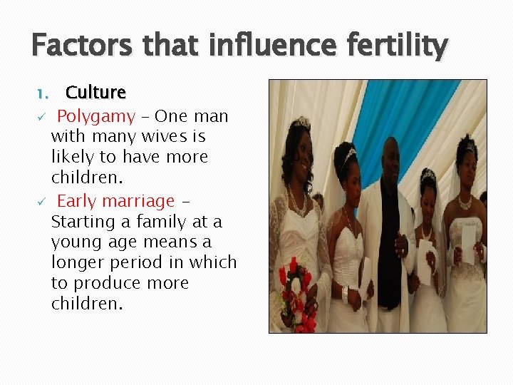 Factors that influence fertility Culture ü Polygamy – One man with many wives is