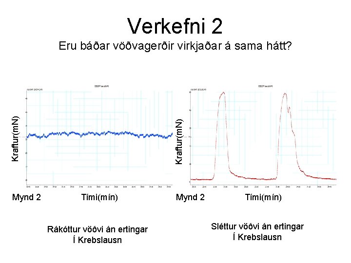 Verkefni 2 Mynd 2 Kraftur(m. N) Eru báðar vöðvagerðir virkjaðar á sama hátt? Tími(mín)