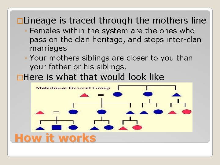 �Lineage is traced through the mothers line ◦ Females within the system are the