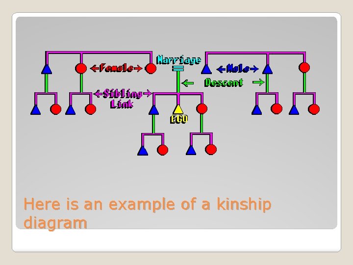 Here is an example of a kinship diagram 