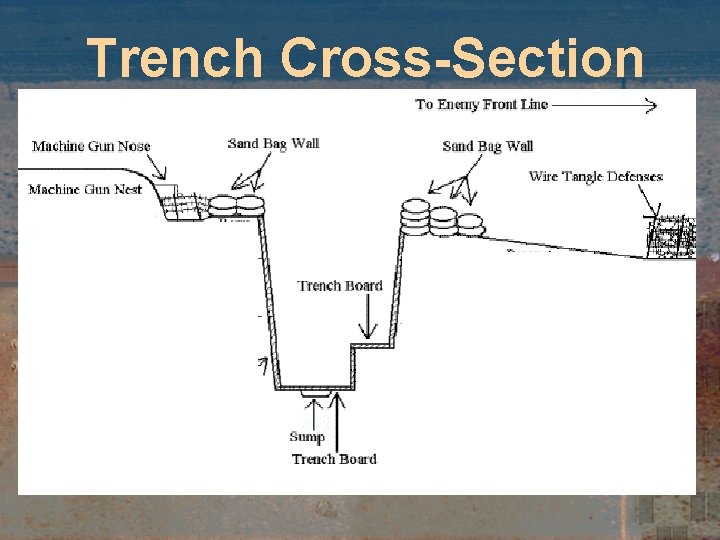 Trench Cross-Section 