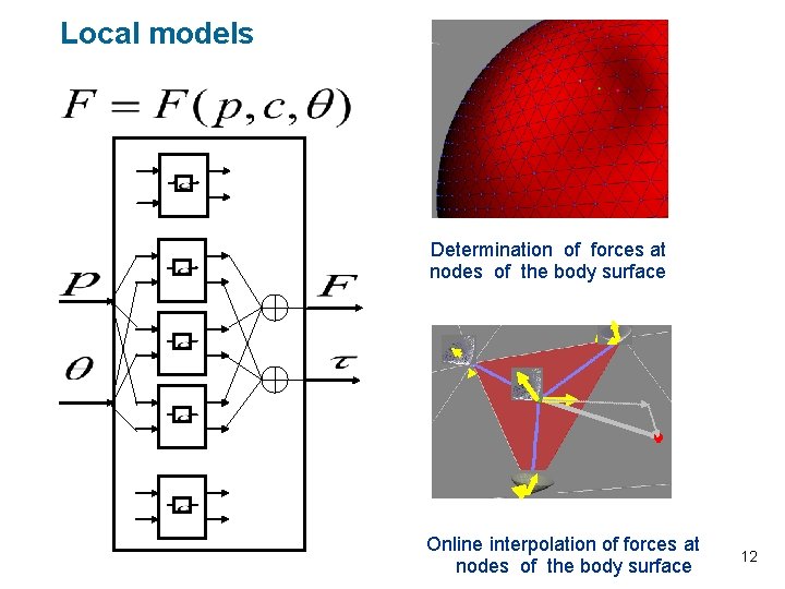 Local models Determination of forces at nodes of the body surface Online interpolation of