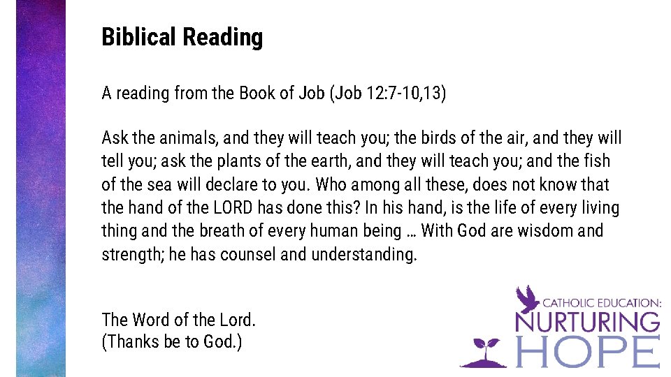 Biblical Reading A reading from the Book of Job (Job 12: 7 -10, 13)