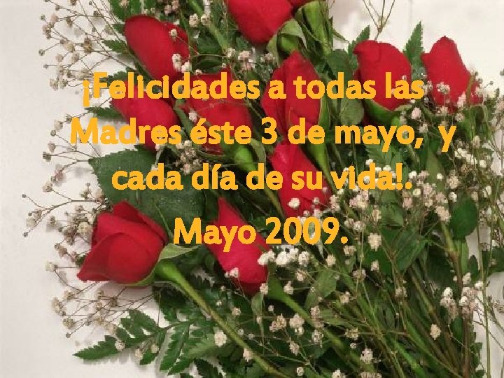 ¡Felicidades a todas las Madres éste 3 de mayo, y cada día de su