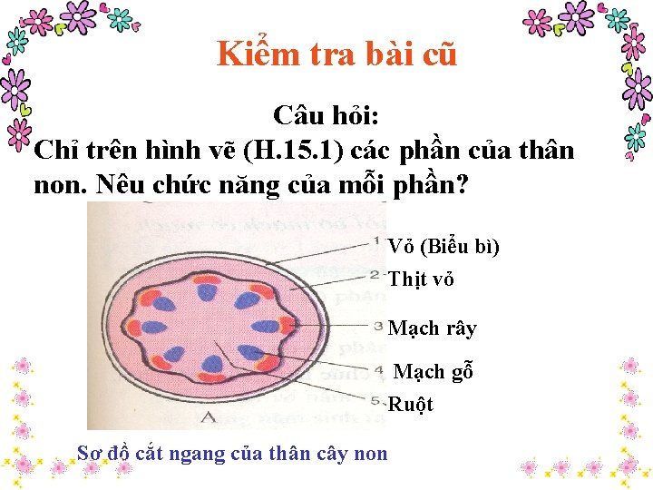 Kiểm tra bài cũ Câu hỏi: Chỉ trên hình vẽ (H. 15. 1) các