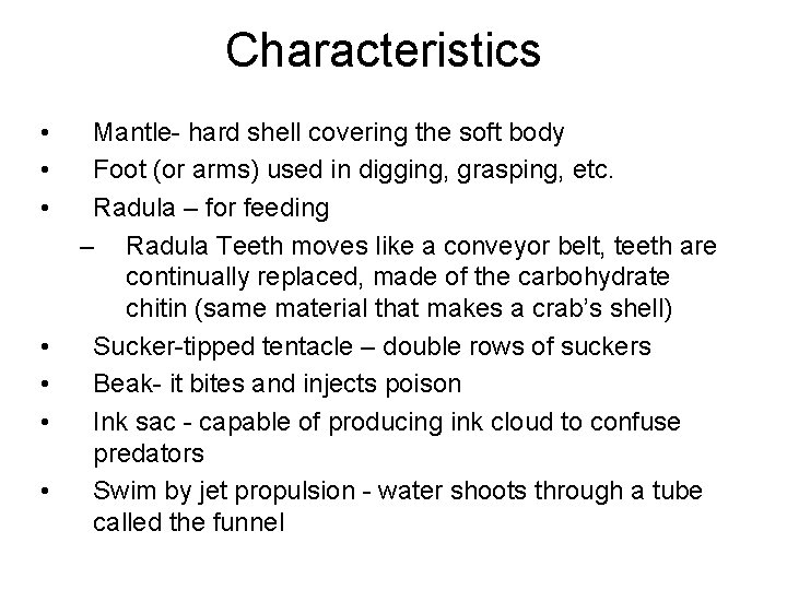 Characteristics • • Mantle- hard shell covering the soft body Foot (or arms) used